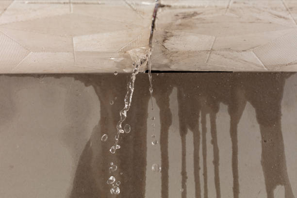 Professional Water Extraction technician working in Milford, TX